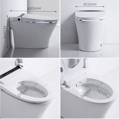 Japanese Intelligent Toilet Water Bidet Buttocks Washing Fully Smart 60KG