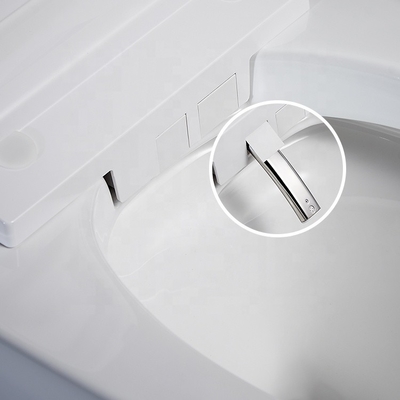 Japanese Intelligent Toilet Water Bidet Buttocks Washing Fully Smart 60KG